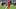 Alphonso Davies Alphonso Davies