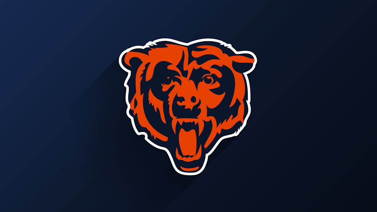 Bears, Hallmark Team Up to Produce Holiday Touchdown: A Bears Love Story
