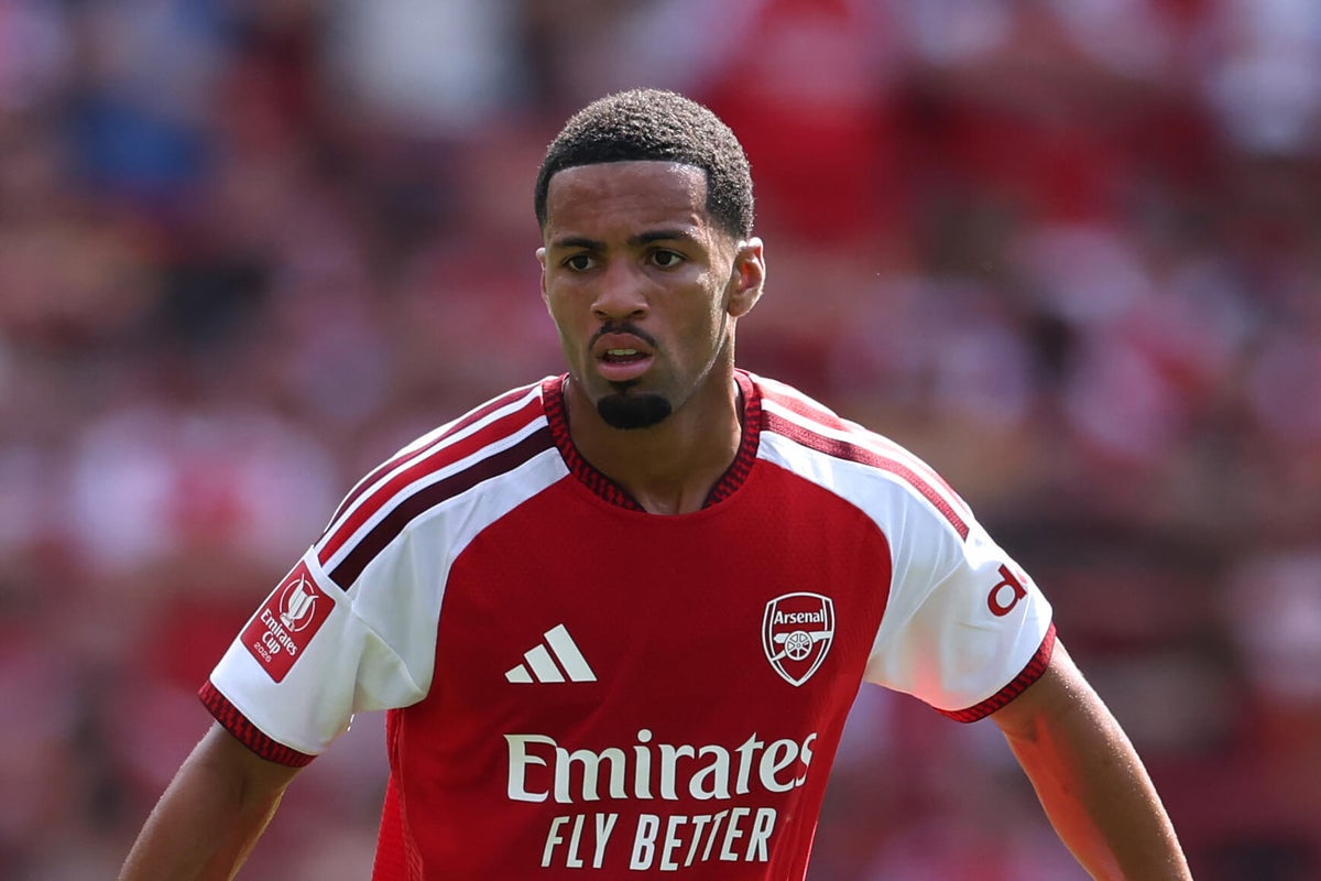 Arsenal's Ethan Nwaneri completes Borussia Dortmund loan move
