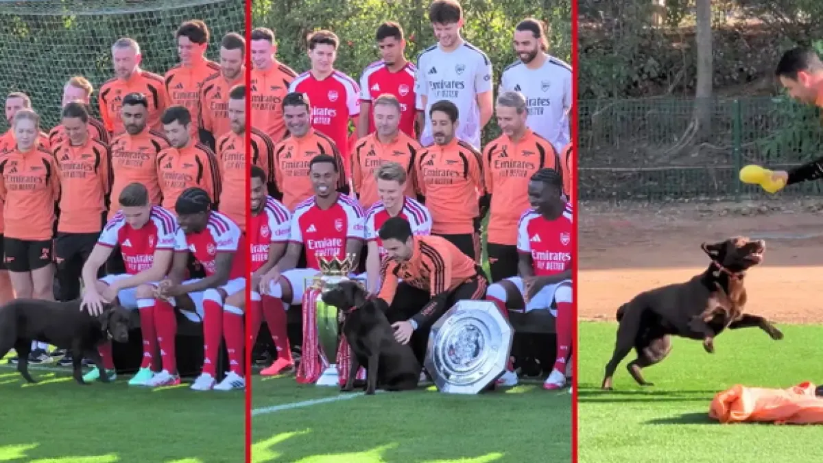 Will Win continue to dominate Arsenal's media moments?