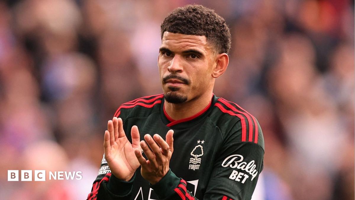 Morgan Gibbs-White fined after his car ran red light