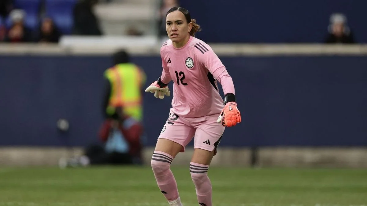 Palmeidas in the Libertadores
